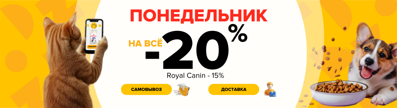 -20 понедельник